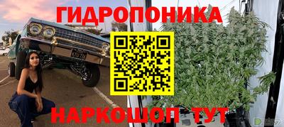 СК Пенза