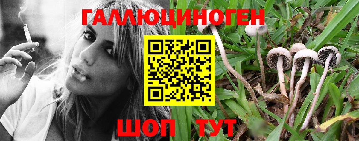 Галлюциногенные грибы мухоморы  Вход с VPN  купить  цена  Оренбург 