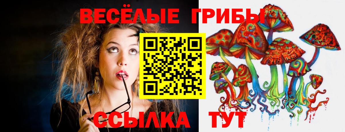 Оренбург  Галлюциногенные грибы мицелий  Вход с VPN 